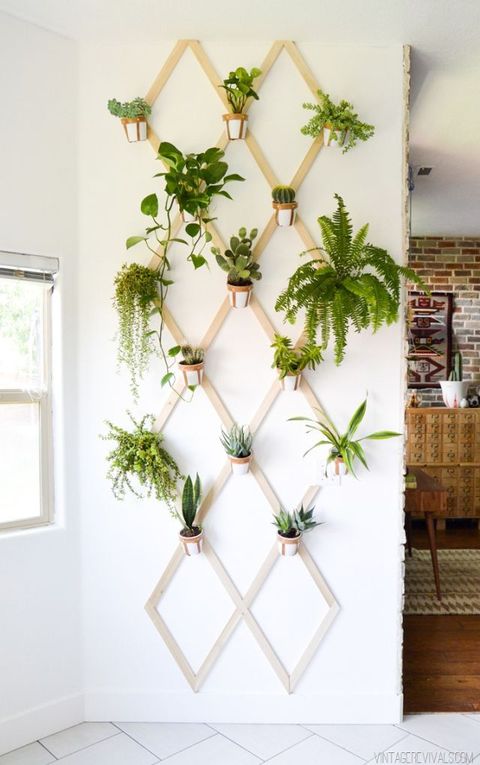 Home Interior Design Using Plants To Make Your House Look Elegant