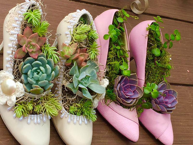 growing plants in heels 