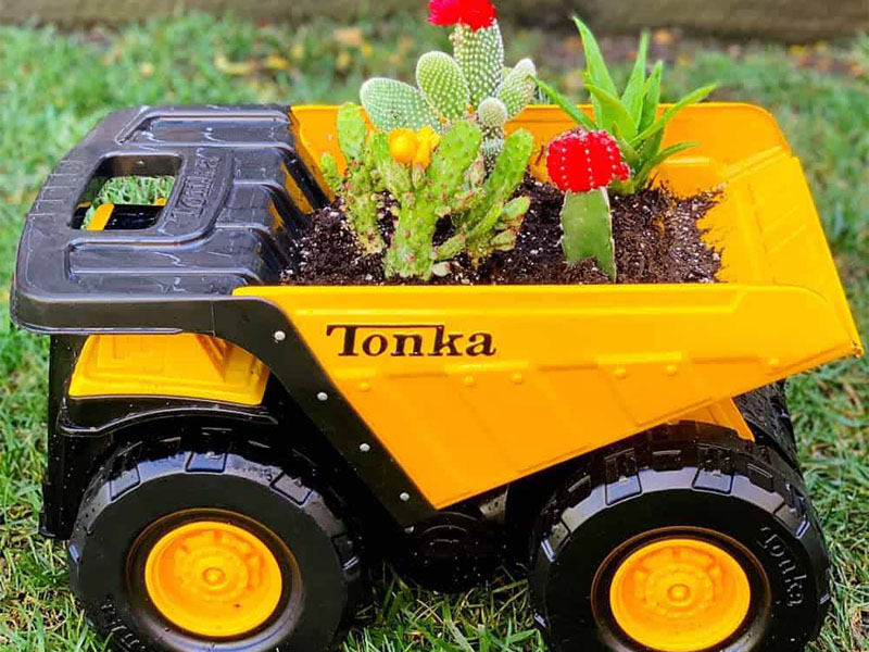 growing plants in kids truck